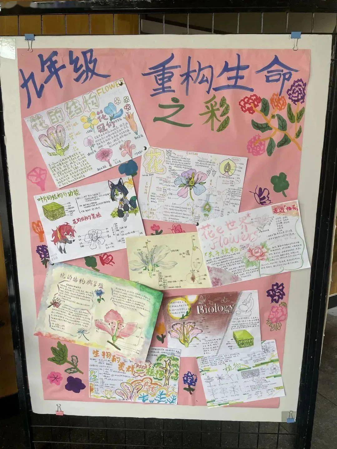 挹秀园| 亲近自然 探寻生命之美——中学科学,生命科学教研组开展学科