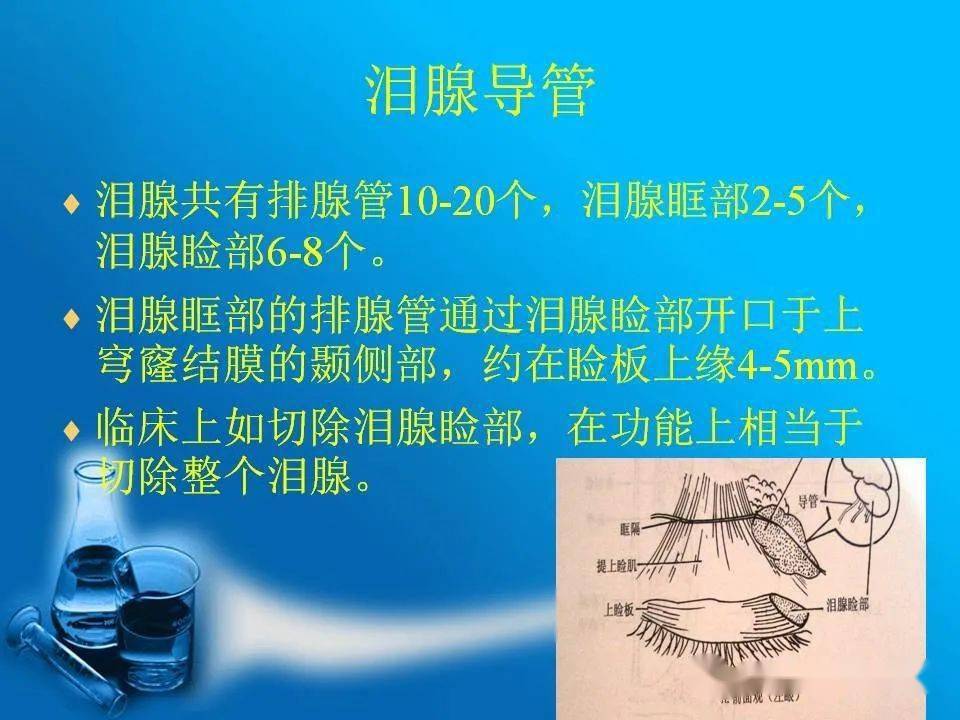 淚器影像解剖_防控_眼鏡_銷售