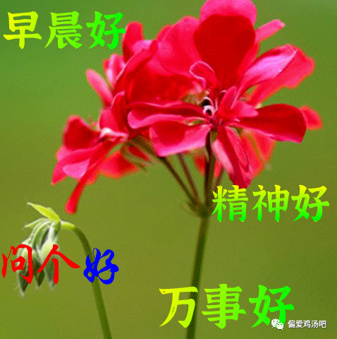 今日最新早安早上好精选,唯美早安问候图片带祝福语_开心_人生_吉祥