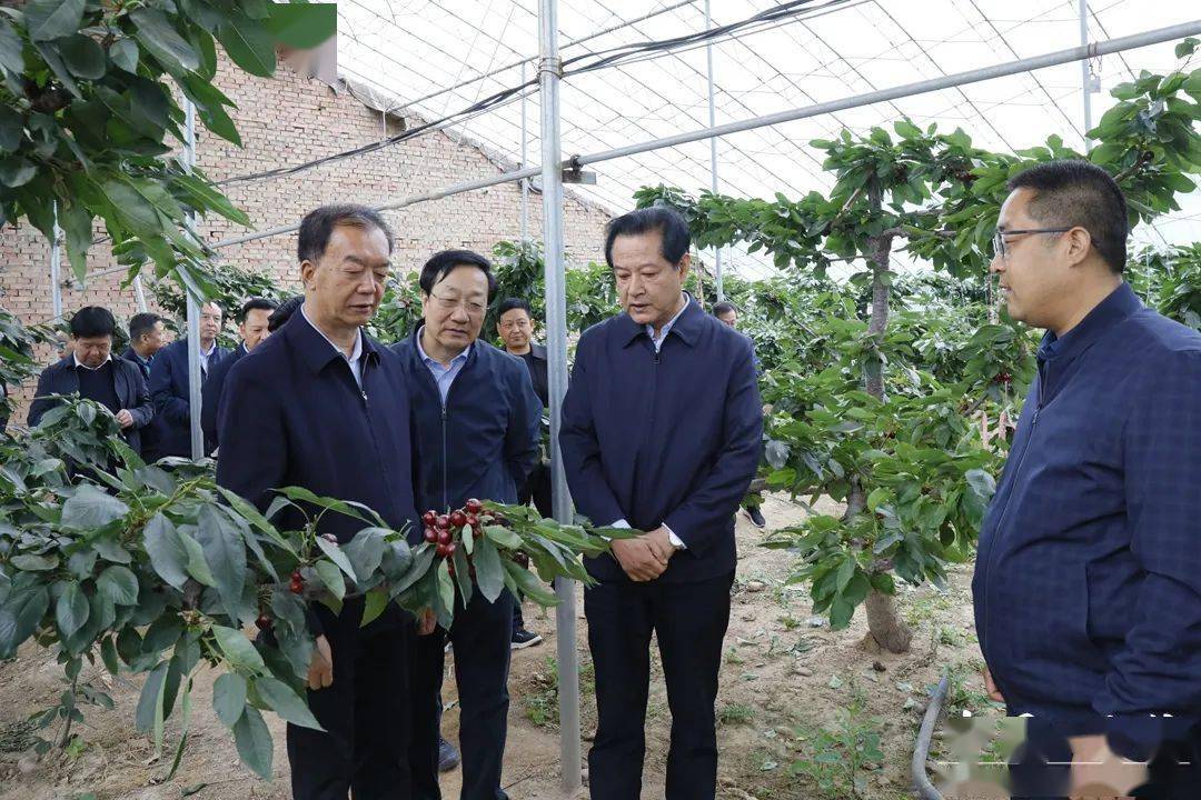 定西市人大考察组来甘谷县考察交流_农业_建设_设施