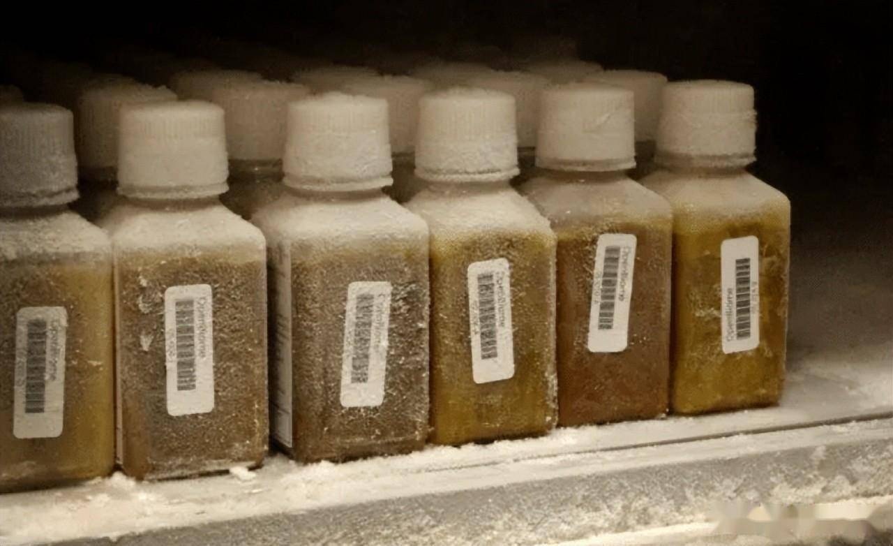 全球首款口服粪便微生物药在美上市,1剂1.75万_移植_肠道_技术