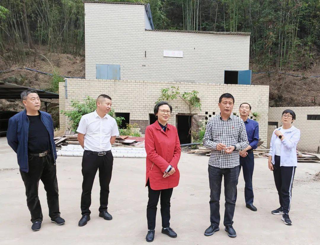 秦玉梅带队开展"主任接待日"活动_安溪镇_发展_情况