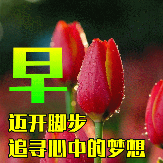 5月10日最漂亮早上好动态表情图片大全,早晨好动图美图大全_亲爱的