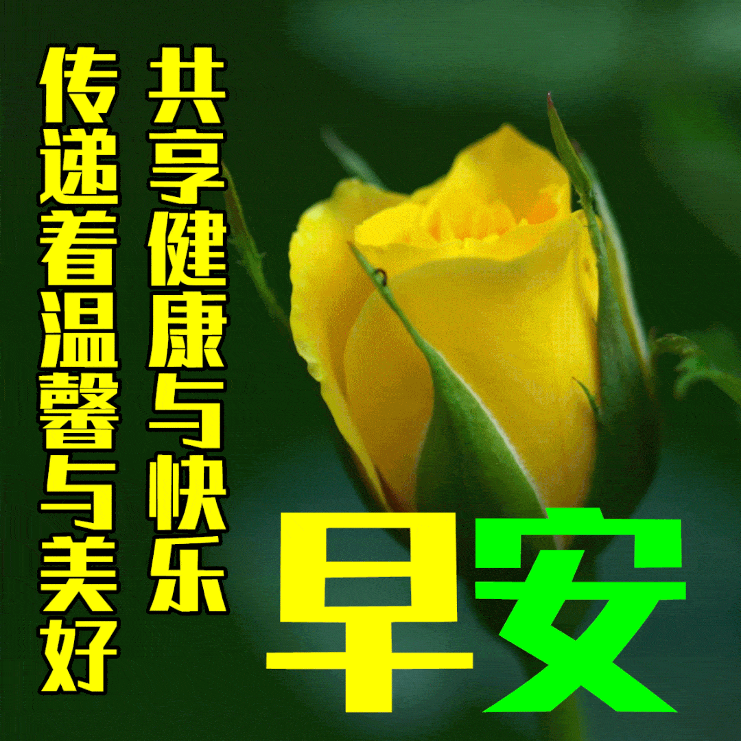 新的一天,早上好,亲爱的朋友们!