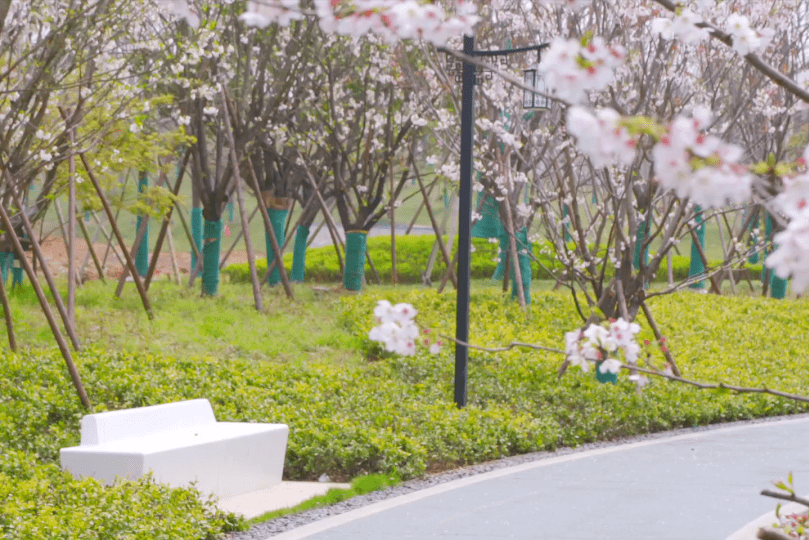 9万㎡!余杭街道这座公园全新亮相!美图抢先看→_迎宾_樱花_景观