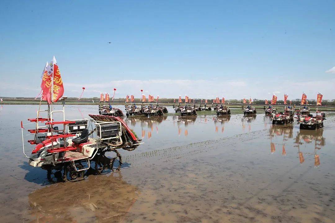 普阳农场_插秧机_北大荒