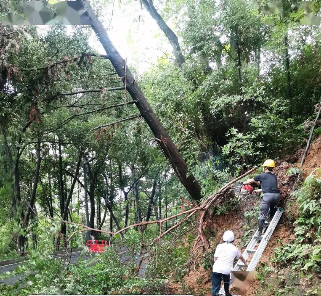 園林中心對本次降雨導致的邊坡塌方,路面塌陷等險情,及時設置警示牌並