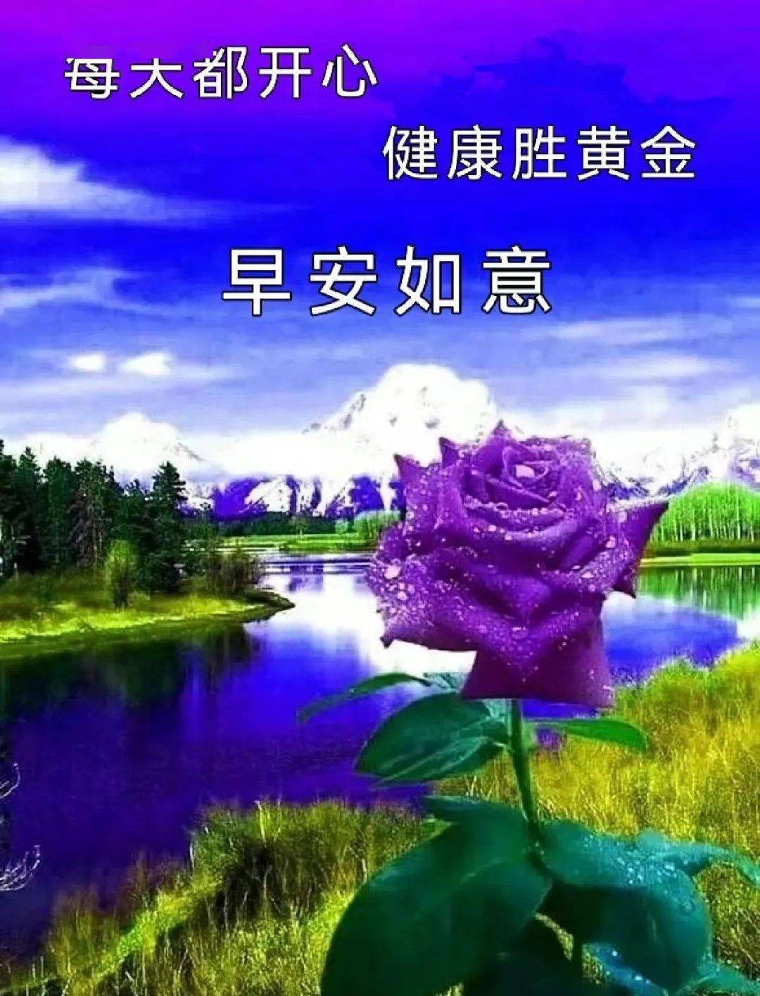 早安朋友!愿你幸福安康,顺心如意!_问候_网络_版权