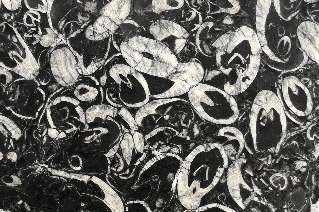 25个全球新矿石材,开启今"厦"寻矿之旅_矿山_产品品种_迪奥