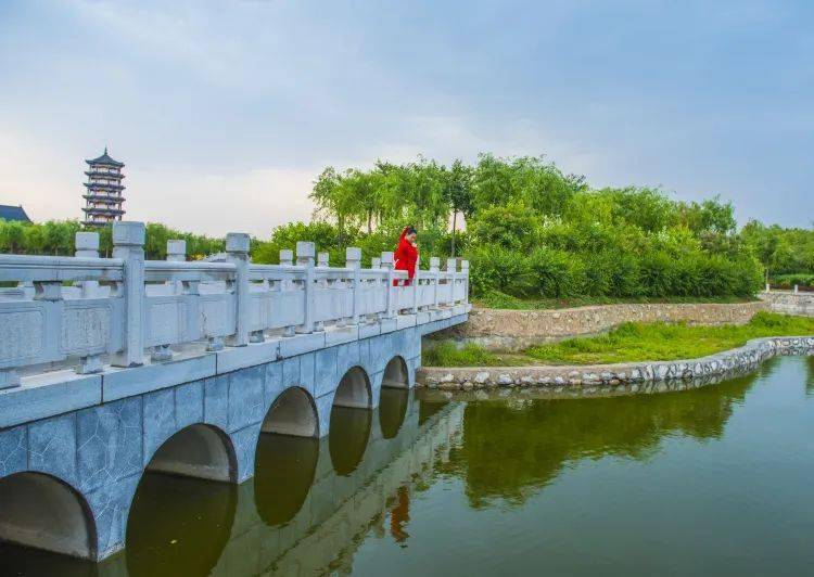 太行泉城 美丽邢台|任泽区:半城游园满目景 推窗见绿入画来_公园_太极