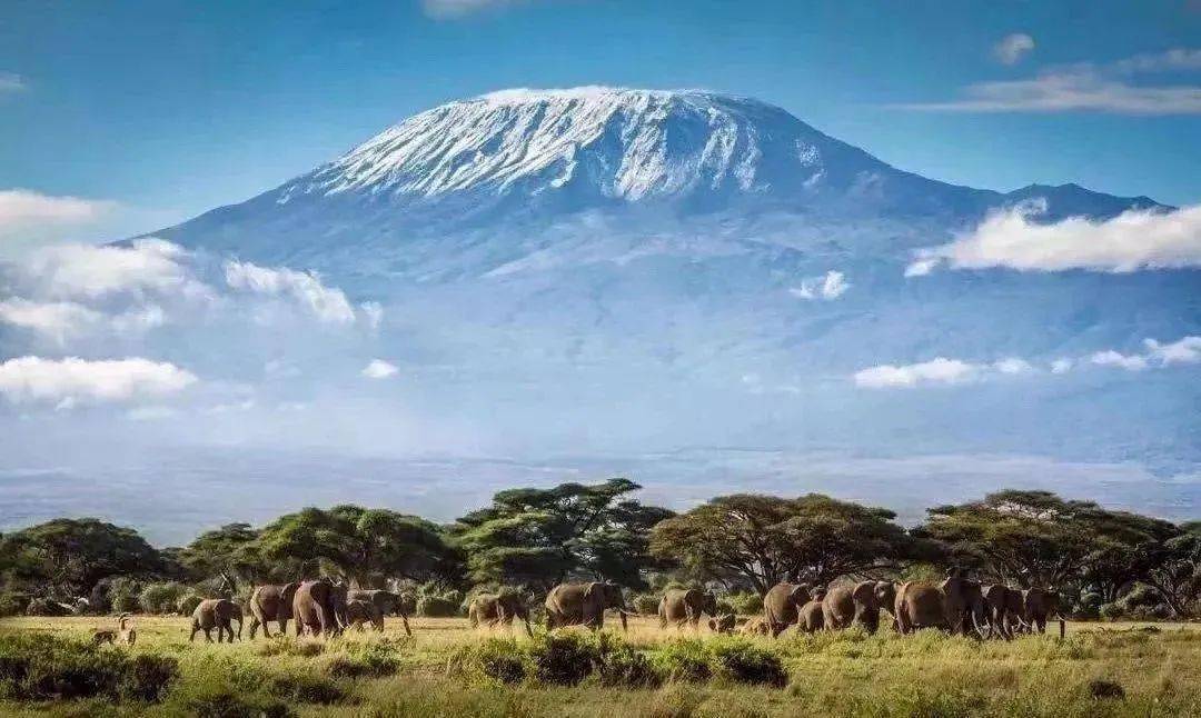 下面就让我来介绍一下肯尼亚旅游资源非常丰富,有非洲第一高峰赤道上