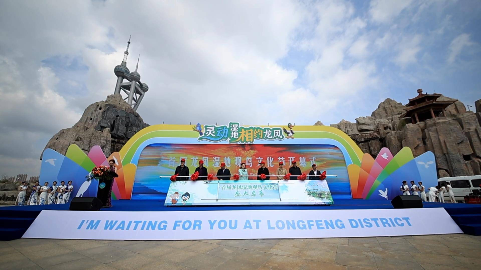 首届"龙凤湿地观鸟文化节"启动_大庆_鸟类_活动