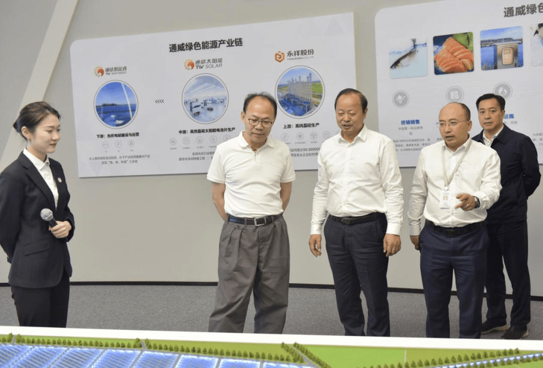 民建中央副主席、中国工程院院士程京一行莅临永祥股份参观调研_发展_产业_产能