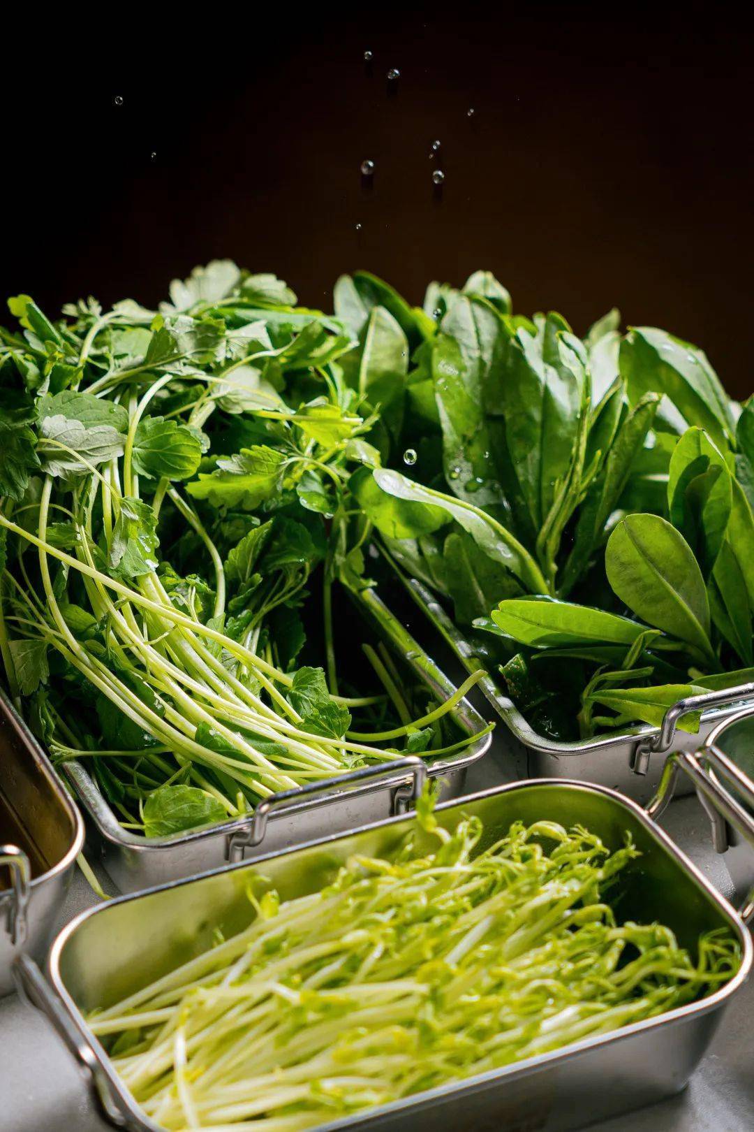 它家的山野菜,也是老板的骄傲!