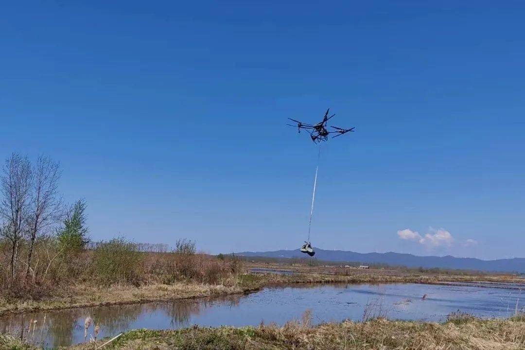第九管理区"空中"运苗省钱更省力_种植户_农业_无人机