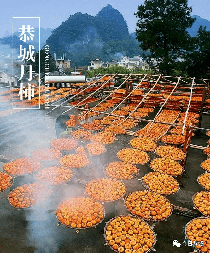 它们分别是:横县茉莉花茶,柳州螺蛳粉,百色芒果,武鸣沃柑,恭城月柿