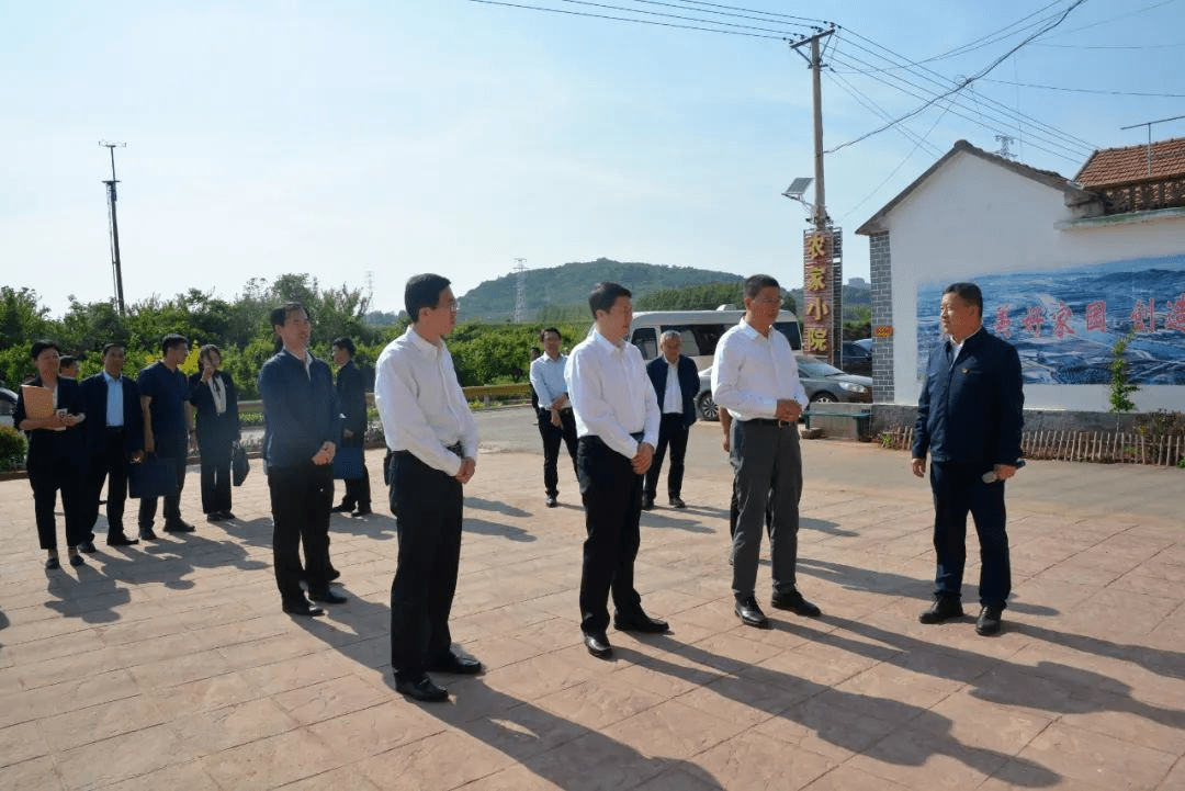 李峰一行先后到黄山铺镇小松林村,花卉产业园进行实地察看,与驻村第一