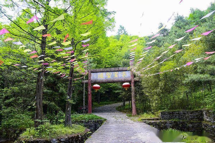 初夏云雾山_勉县_景区_海拔