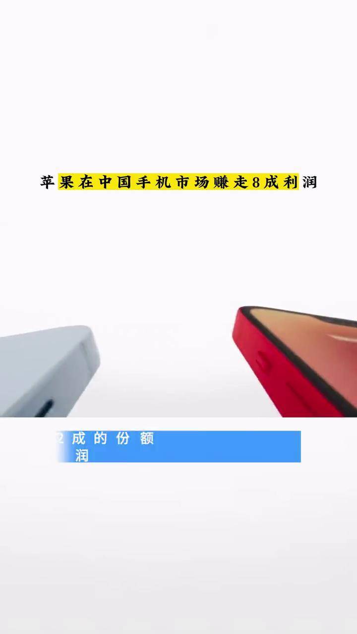 手机的利润(手机的利润率)