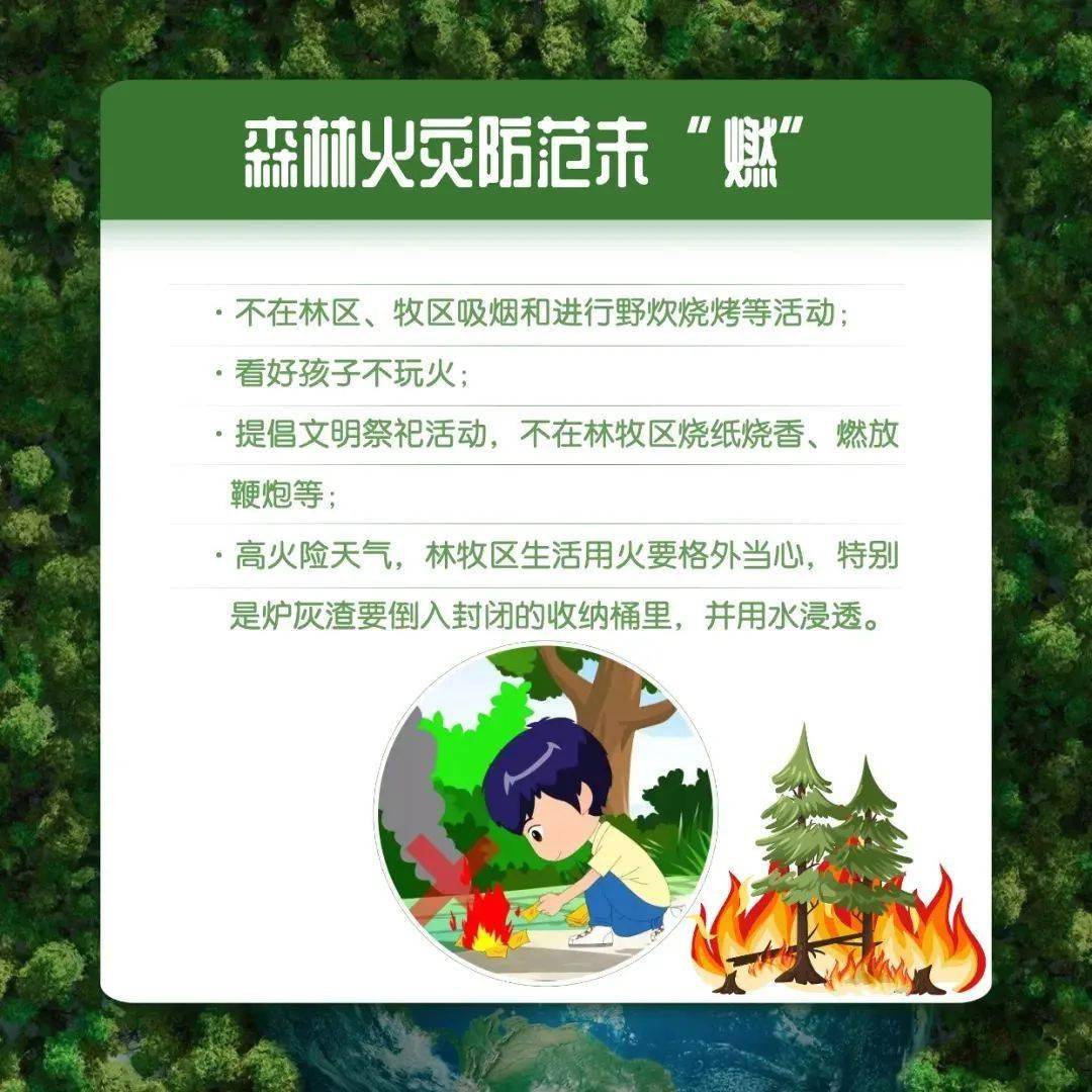 【森林防火】这些森林防火须知,请牢记_火灾_汤旺_灾害