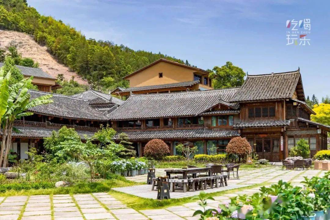 520绣球花节恍入蓝色浪漫花海,来泰顺筱村公社大口森呼吸!