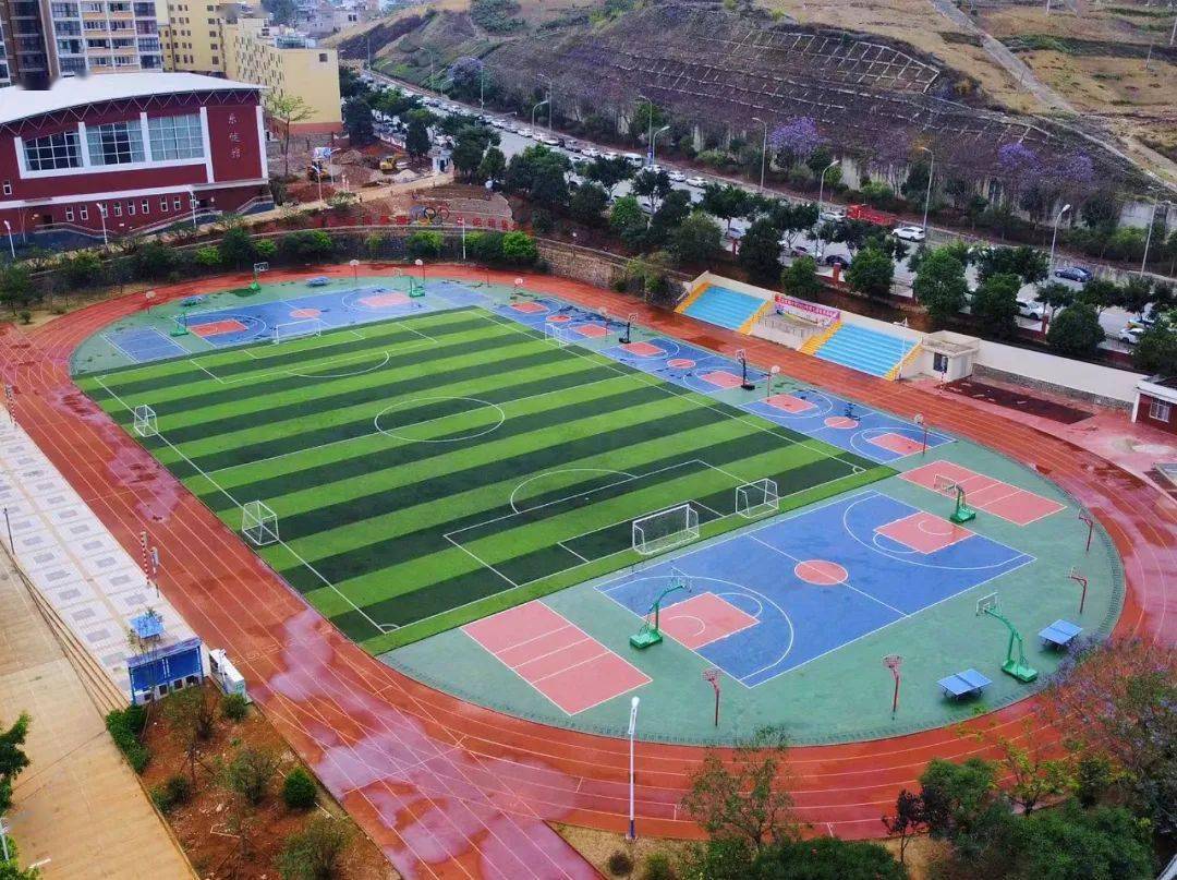 文山一批学校美出圈……_十一小学_校园_绿化