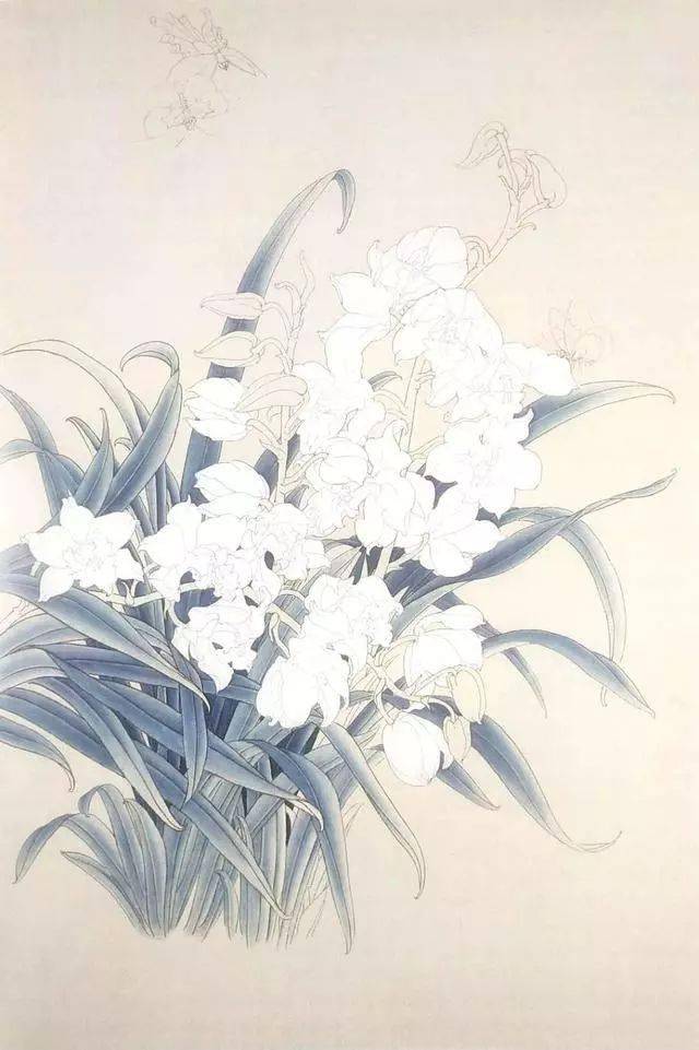 【国画教程】工笔画兰花《清惠》_花青_中国_蝴蝶