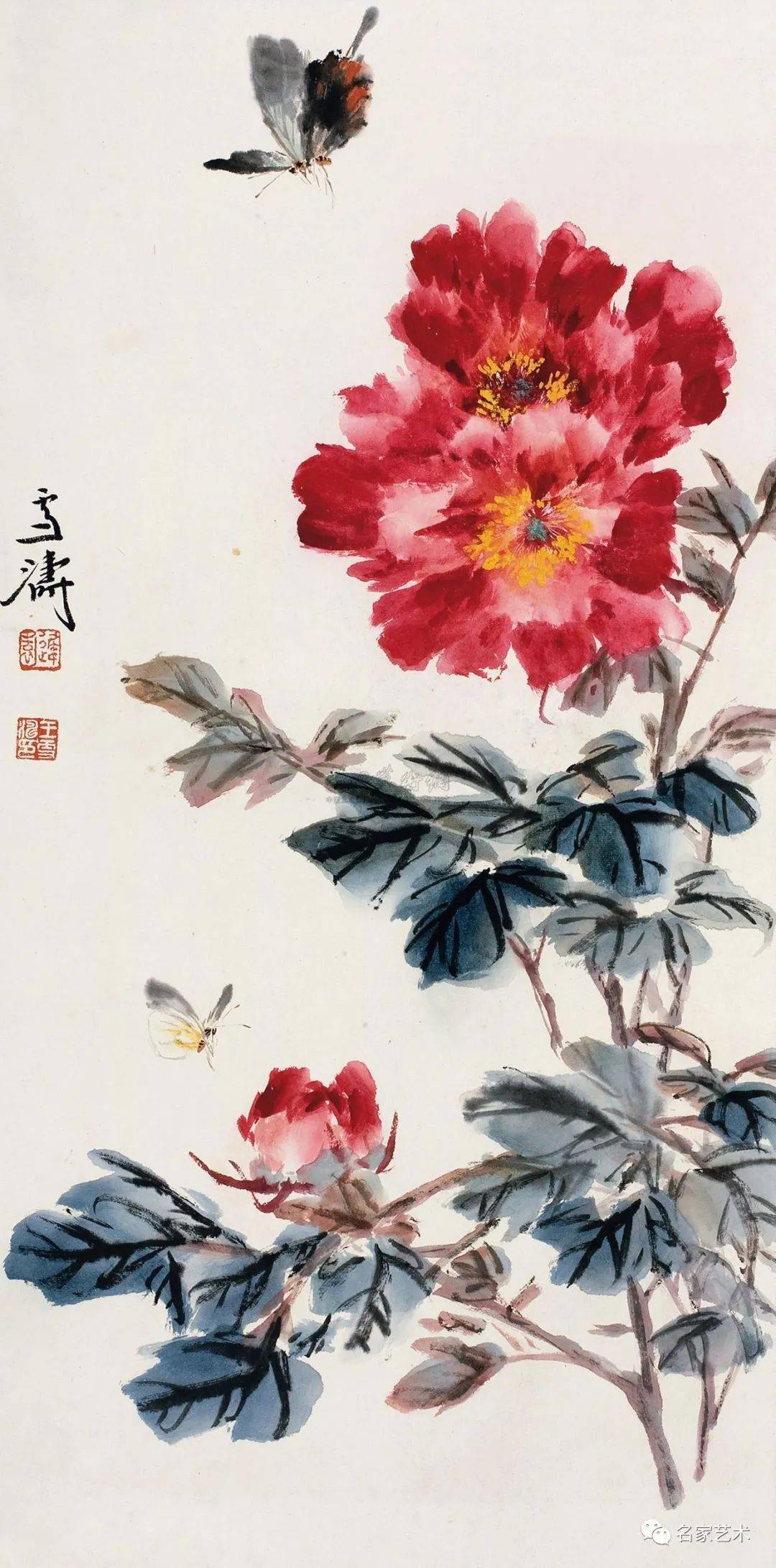 【名品视界】王雪涛花鸟画之牡丹_名家_艺术_鉴定