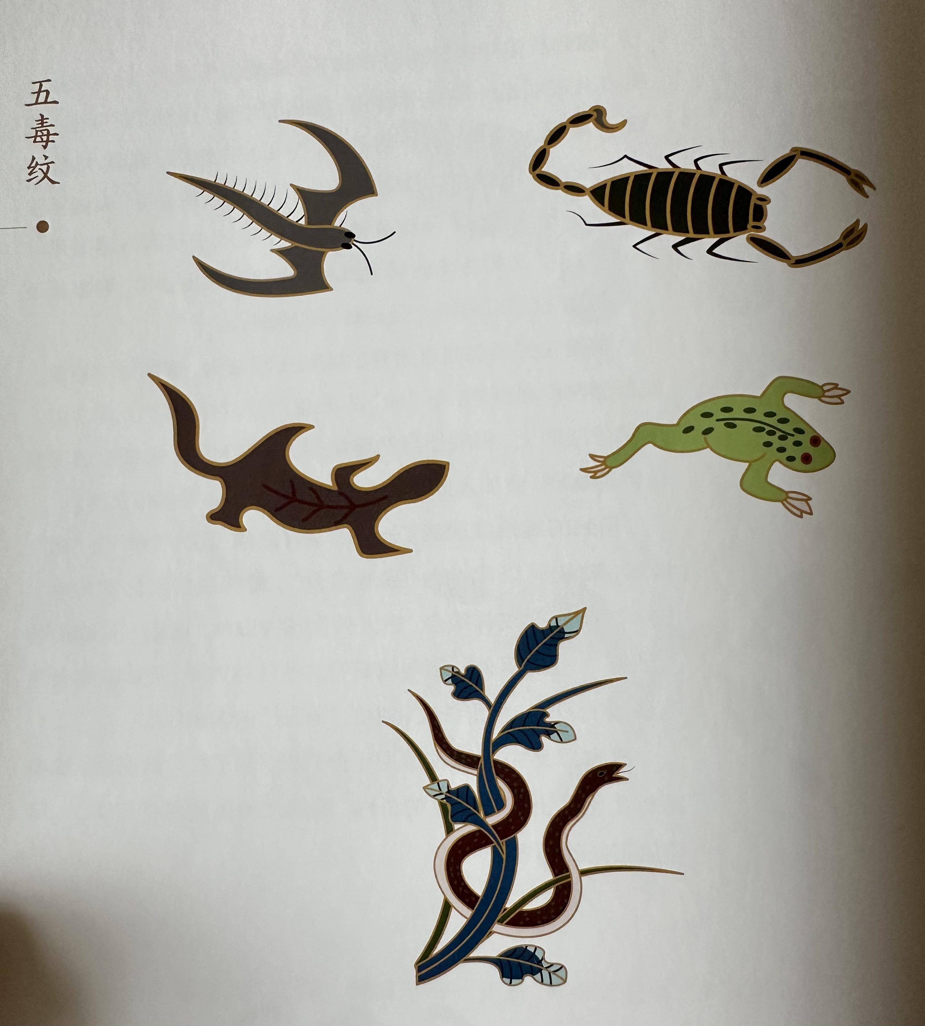 组合_形态_花纹