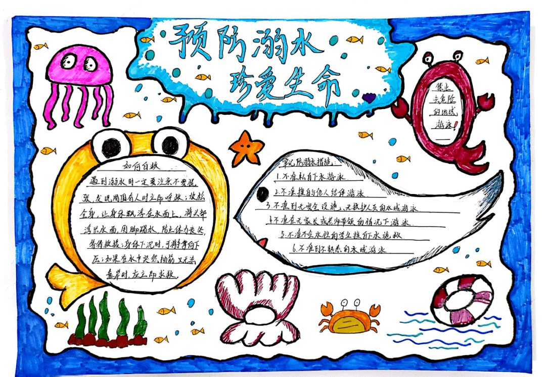 预防溺水 天华学校开展防溺水手抄报评比活动