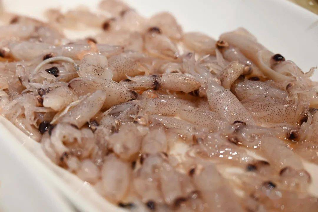 (小目刷)▲(波士顿大龙虾)