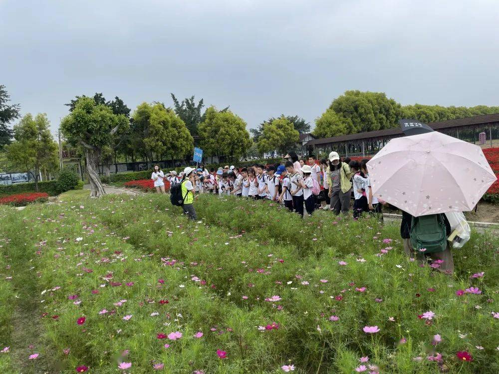助力成长——云山学校龙珠校区1—3年级研学之旅_世界_时光_香草
