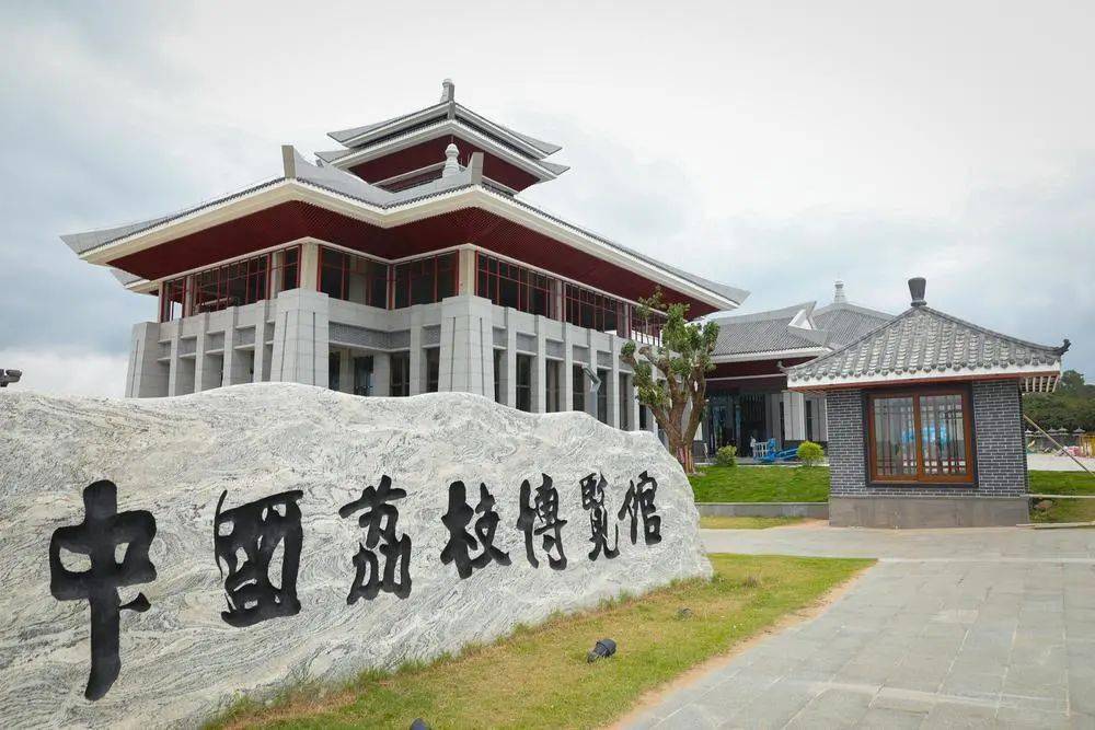 【荔枝博物馆】滨海公园内被称作"绿色长城"的百里防护林带为我国第一