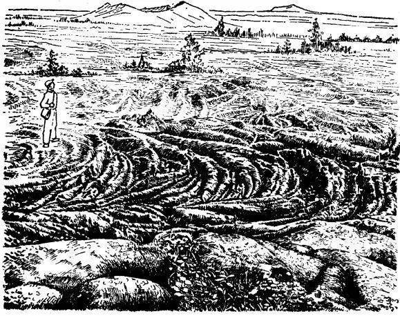 看完前辈的这些野外地质素描,敬意油然而生!_砂岩_构造_甘肃