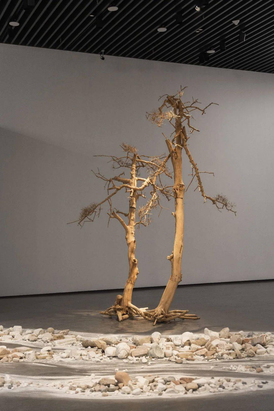 展览聚焦 02 "知也无涯"展参展艺术家及作品②_史金淞_当代_上海