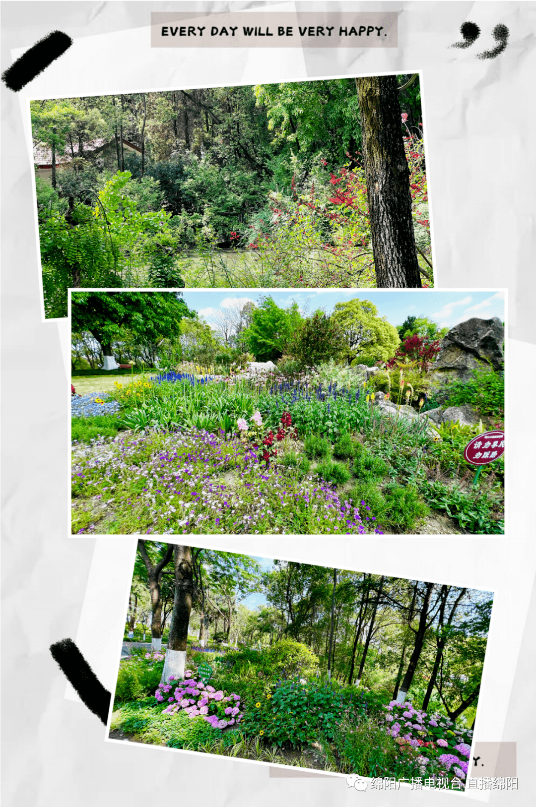 南山公园将提升改造 我们的城市在悄悄开"美颜"_绵阳_建设_桥梁