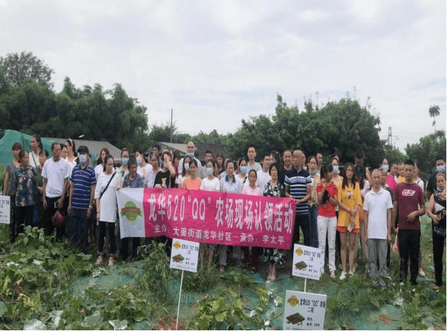 什么是传奇群服务器,什么是传奇群服务 什么是传奇群服务器,什么是传奇群服务