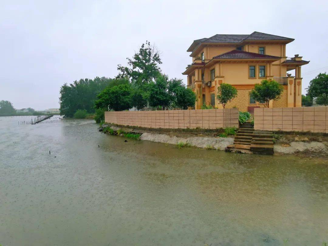 走进建设中的省级美丽乡村:汤沟镇先进村_枞阳_产业_许耀明