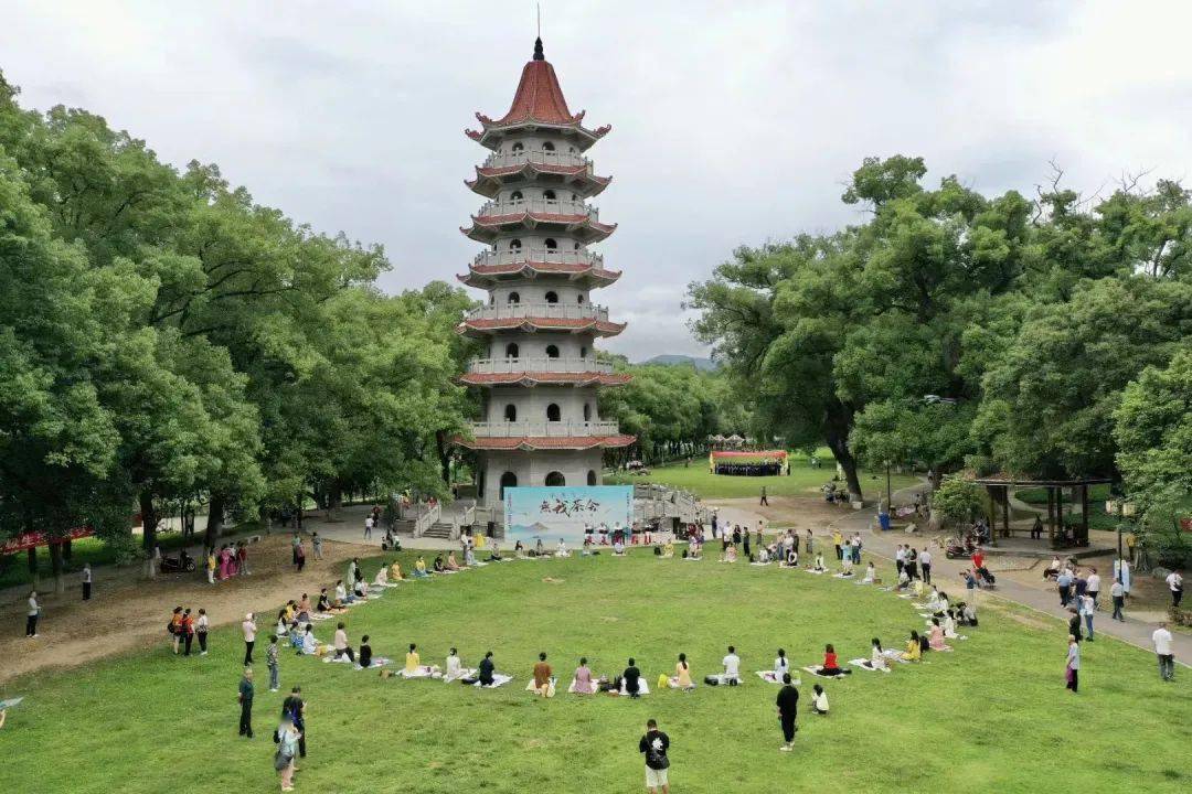 漳平:茶香两岸无我茶会在榉子洲公园举办_活动_茶叶_来自