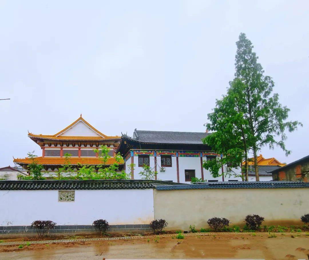 走进建设中的省级美丽乡村:汤沟镇先进村_枞阳_产业_许耀明
