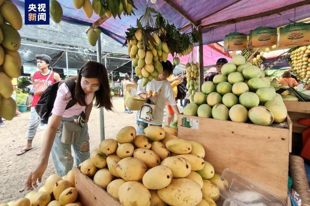 菲律宾吉马拉斯省举行芒果节庆祝活动_约合_人民币_比索