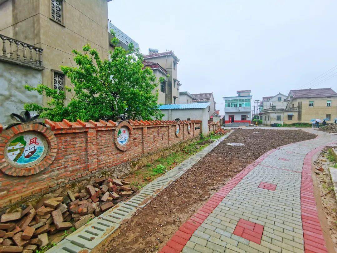 走进建设中的省级美丽乡村:汤沟镇先进村_枞阳_产业_许耀明