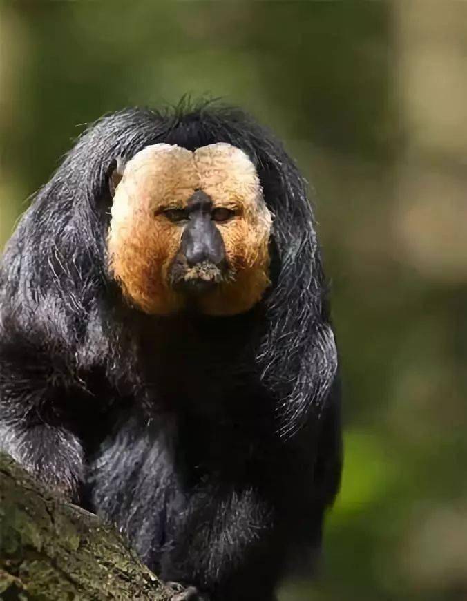 676_870竖版 竖屏