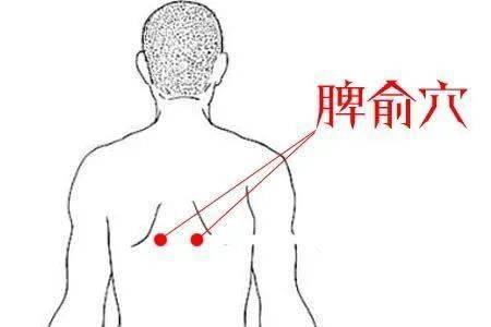 5寸 胃俞穴3主治 胃痛