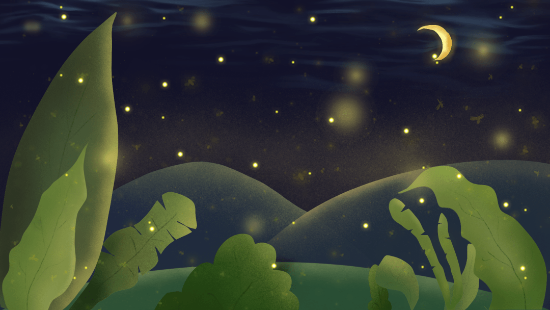 童语天地——躲在草丛里的星星