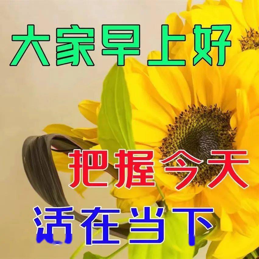 今日最新微信早安问候图片,愿朋友们开心快乐_祝福_平安_童心
