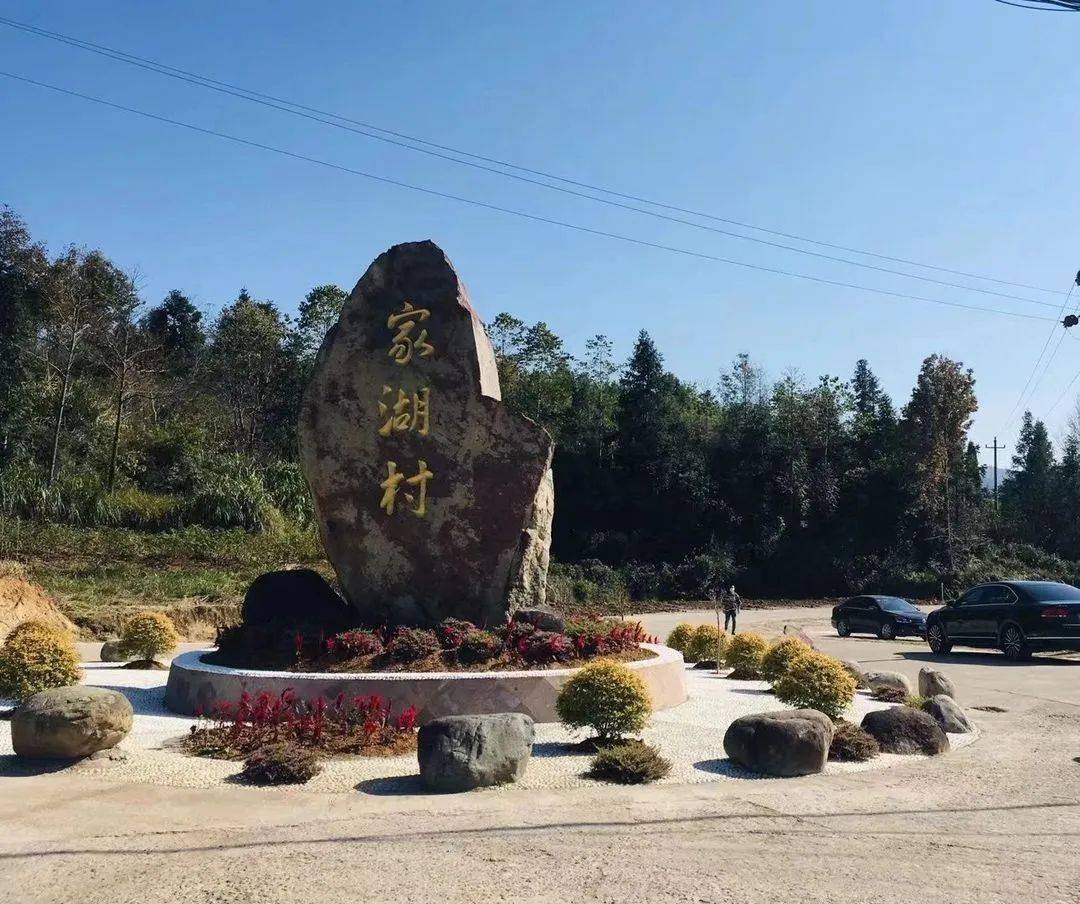 微改造,精提升(59)丨泳溪乡"微改造,精提升" 绘就玫瑰共富画卷_天台