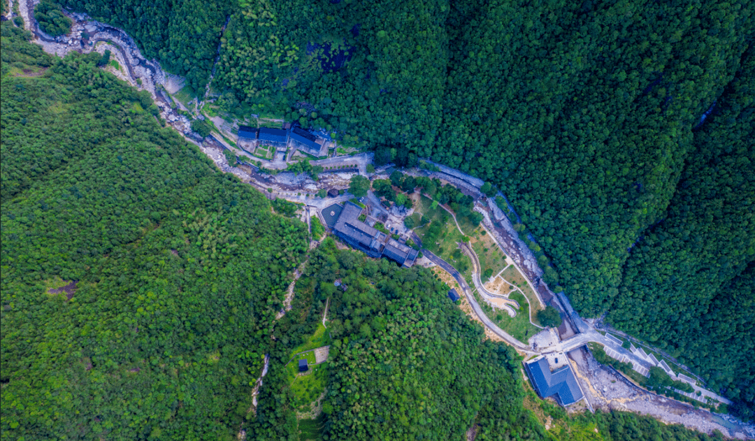 遂昌九龙山上榜第二批省级生物多样性体验地_保护_动植物_引导