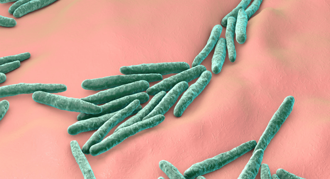 撰文丨王聪编辑丨王多鱼排版丨水成文麻风,是一种由麻风分枝杆菌引起