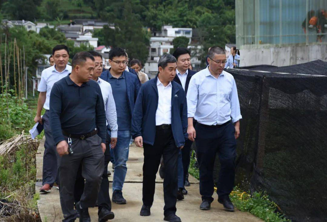 徐永琳到务川调研科技帮扶工作_黄都镇_农业_乡村